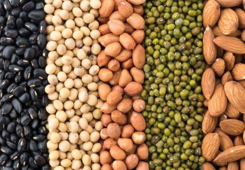 freepik.com/topntp26